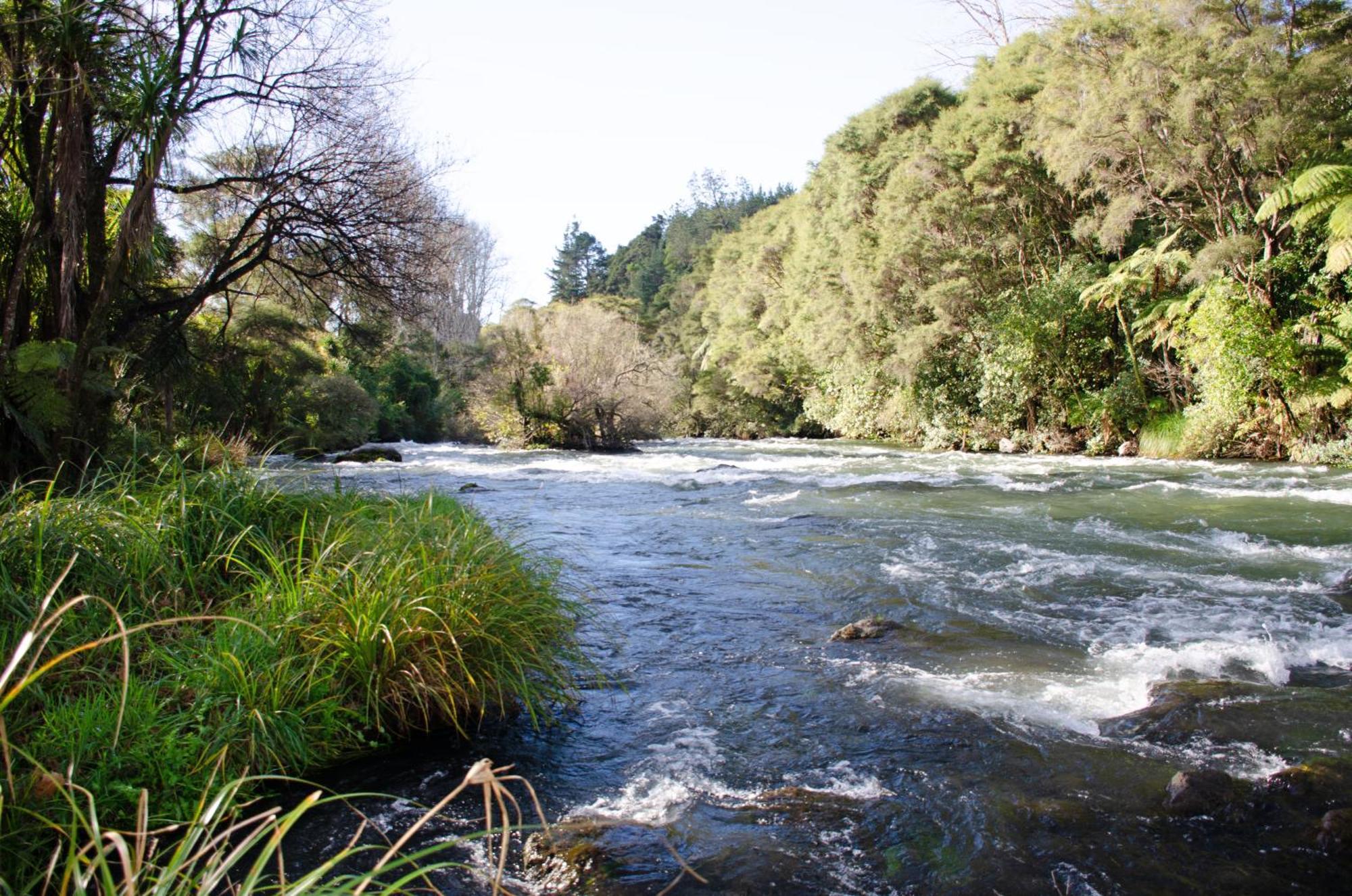Tarawera River Lodge Motel Kawerau Luaran gambar